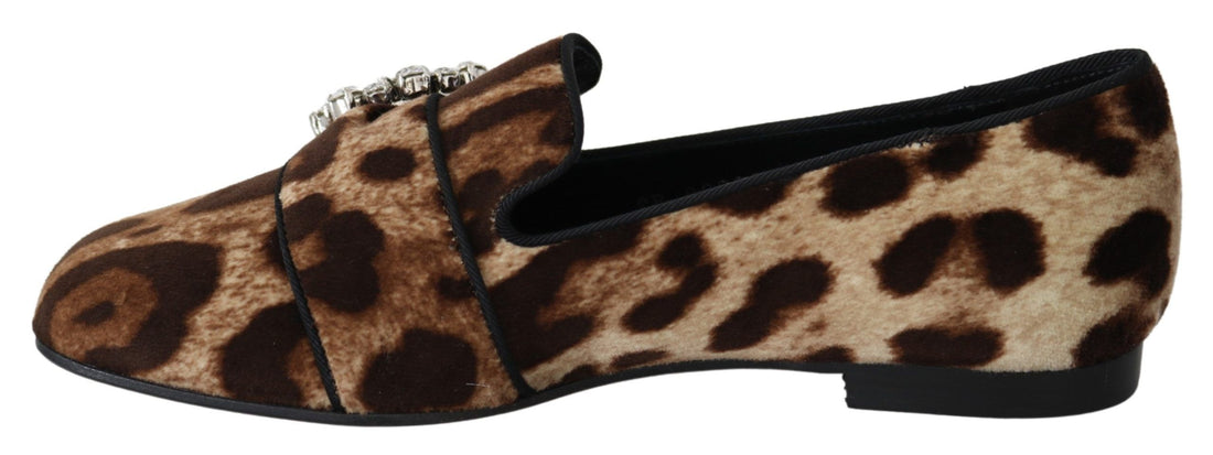 Dolce & Gabbana Brown Leopard Print Crystals Loafers Flats Shoes - Whispers Of Wisdom Clothing