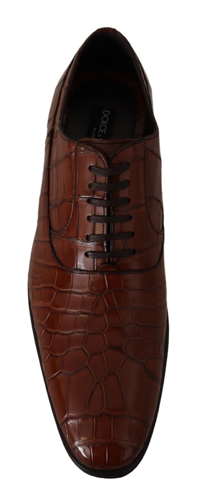 Dolce & Gabbana Brown Crocodile Leather Mens Formal Derby Shoes - Whispers Of Wisdom Clothing