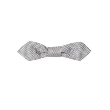 Dolce & Gabbana Gray Silk Bowty